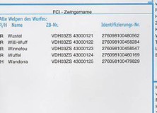 21_53b57e1p.-StammbaumT.11