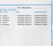 21.-StammbaumT.11