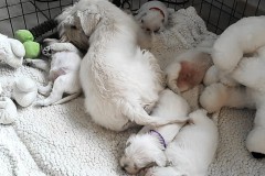 o8